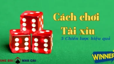 cách chơi tài xỉu